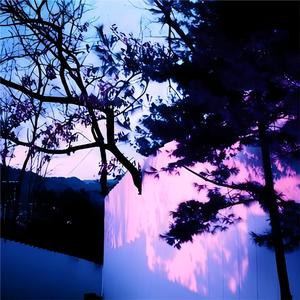 张雨欣全球裸体视频
